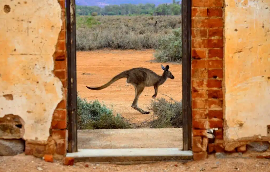 Australian Outback