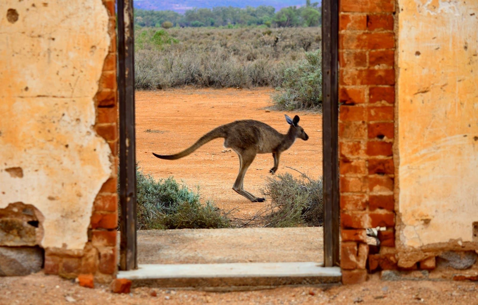 Australian Outback