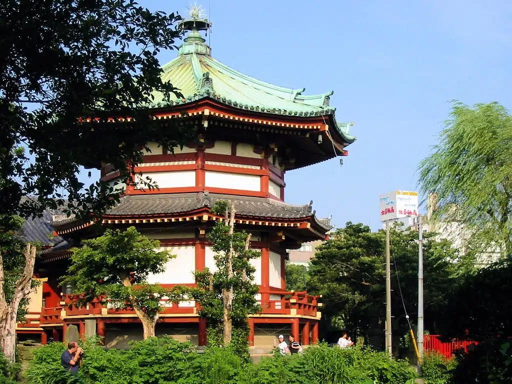 The Surrounding Museums