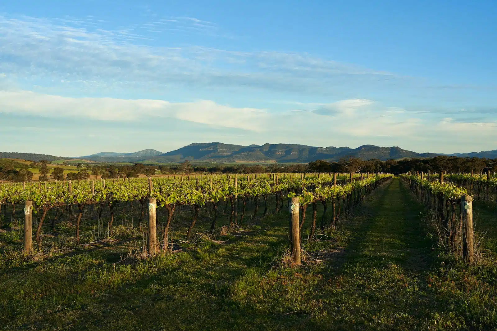 Hunter Valley, New South Wales