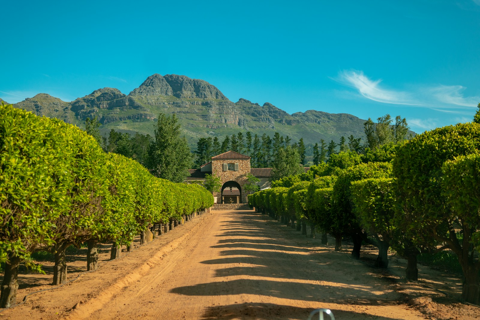 Days 4-5: Stellenbosch & the Cape Winelands