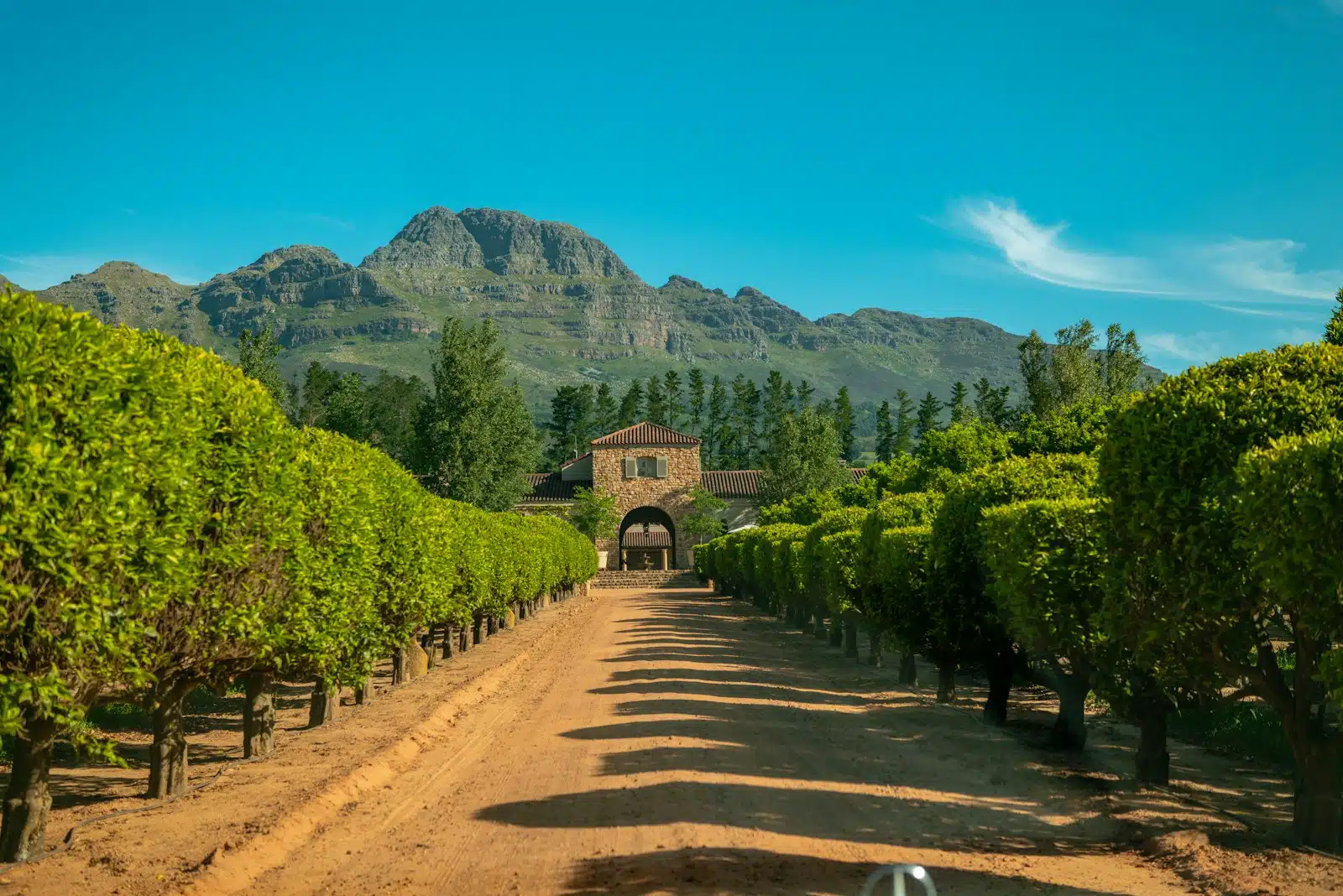 Stellenbosch & the Cape Winelands
