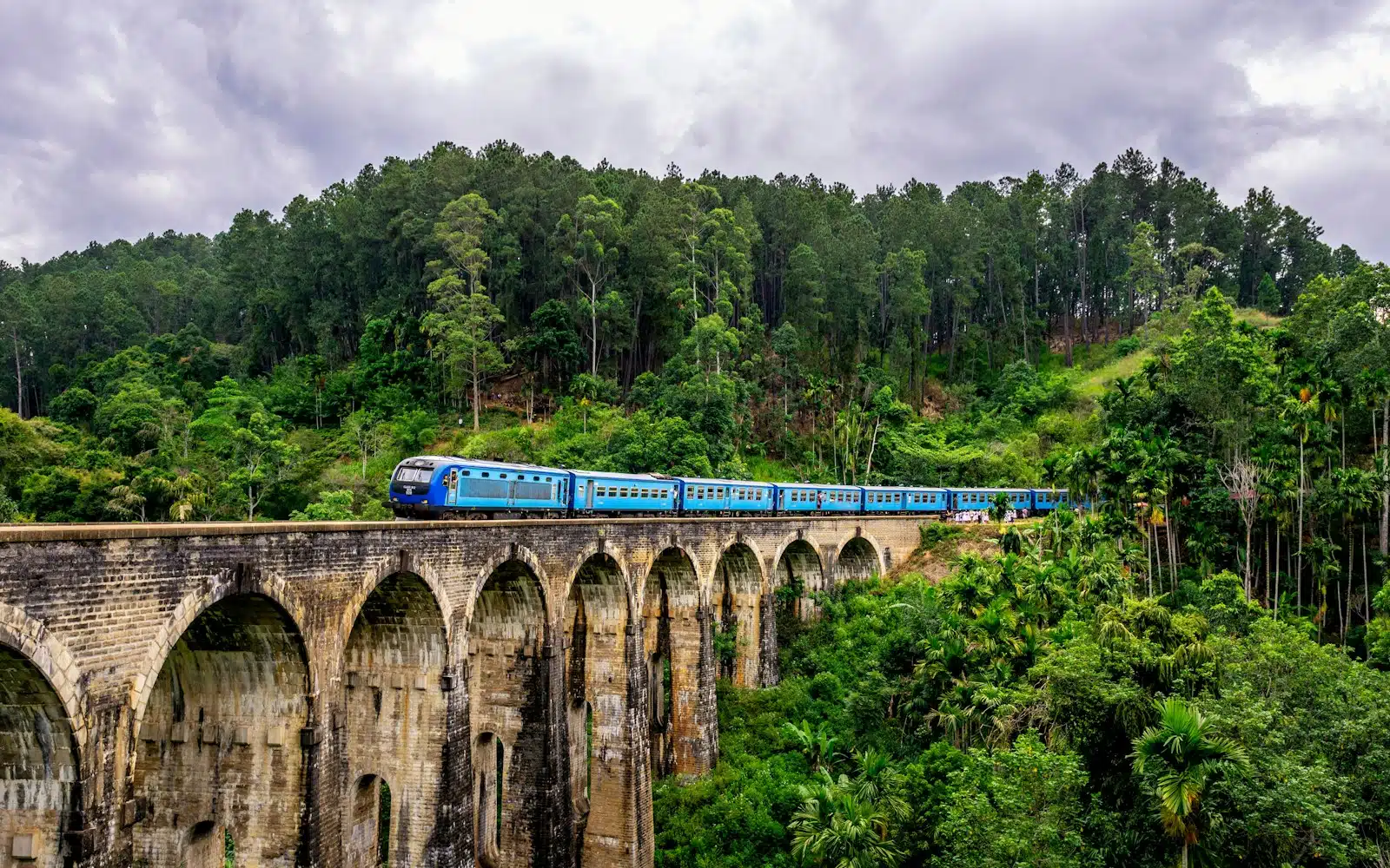 A Guide to Sri Lanka’s Tea Plantations