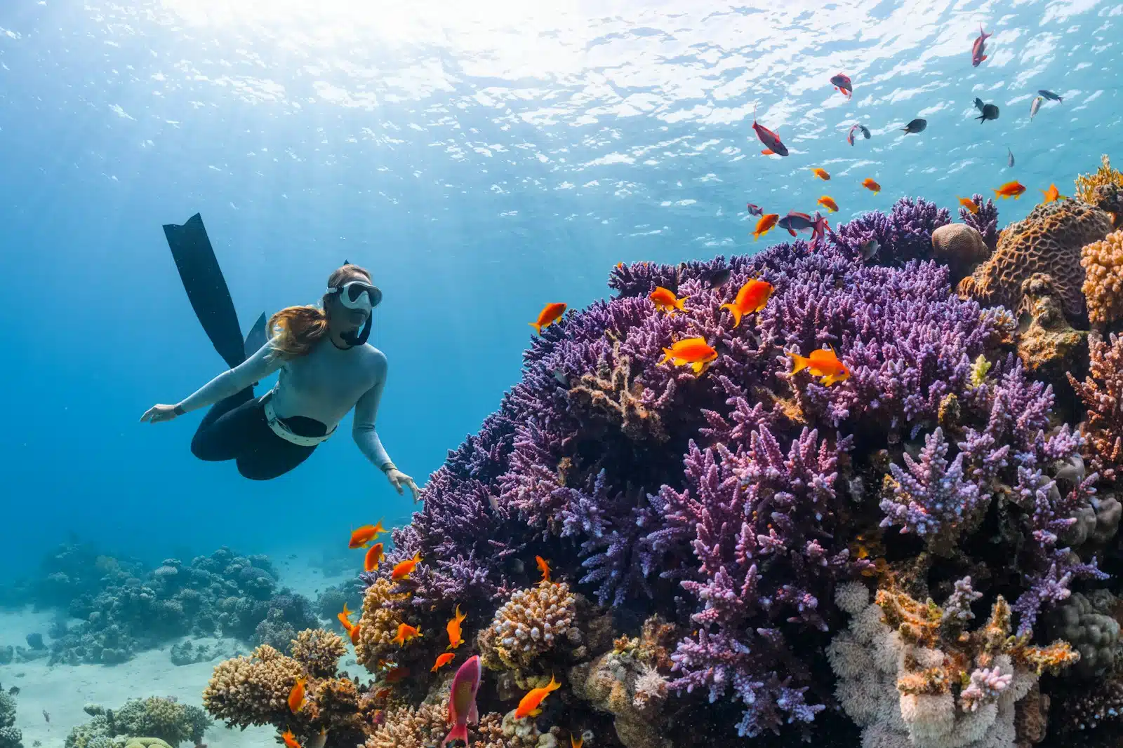 How to Plan a Luxury Trip to Australia’s Great Barrier Reef