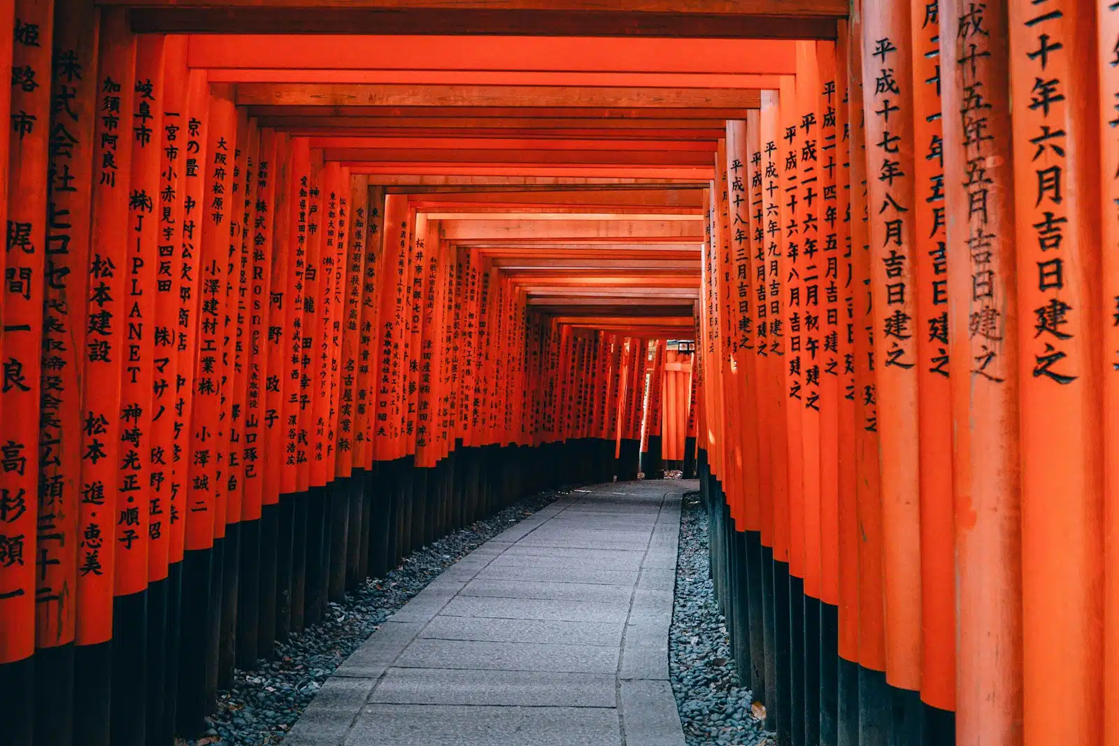 Arashiyama Bamboo Forests at First Light