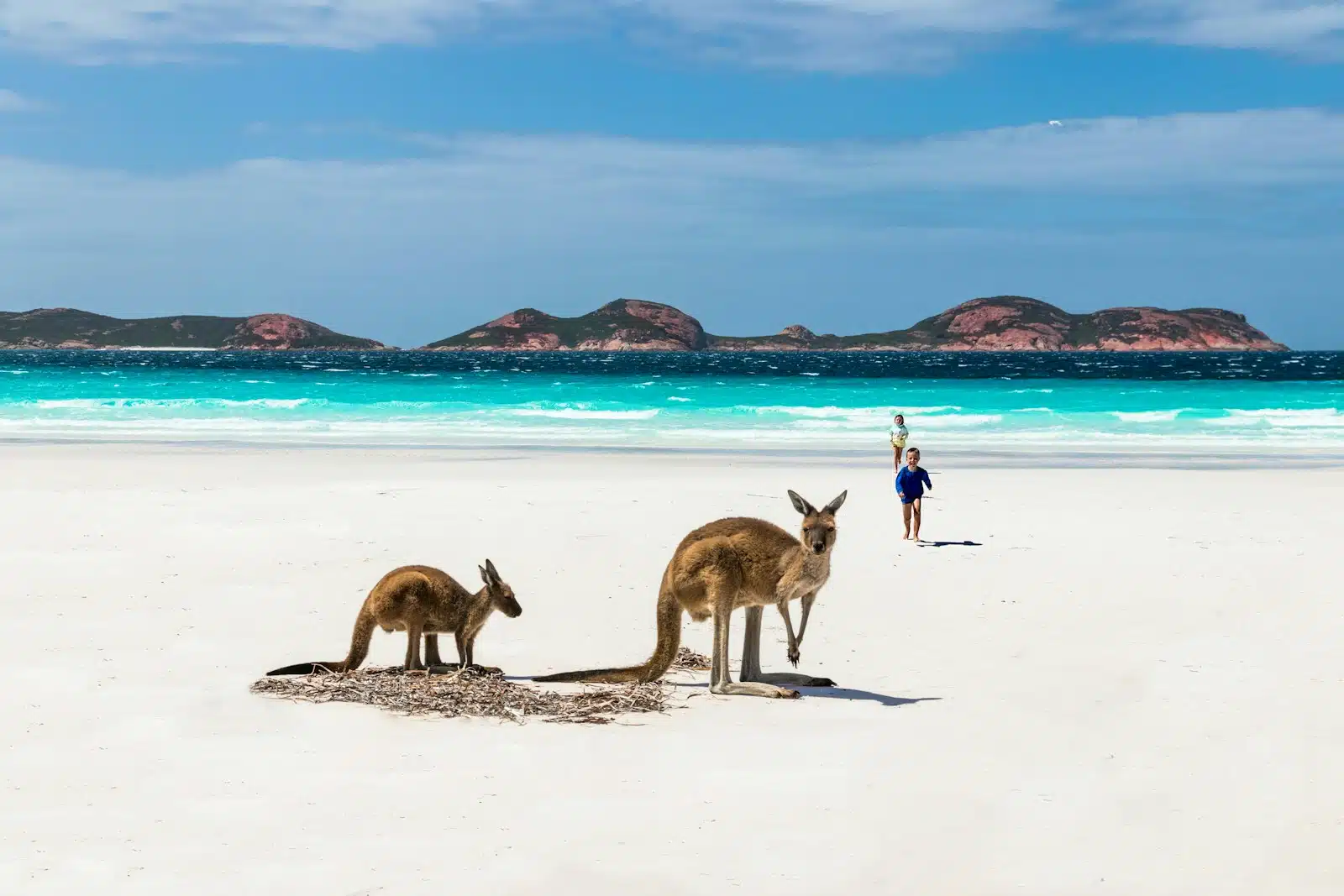 The Best Islands in Australia for a Luxury Beach Holiday