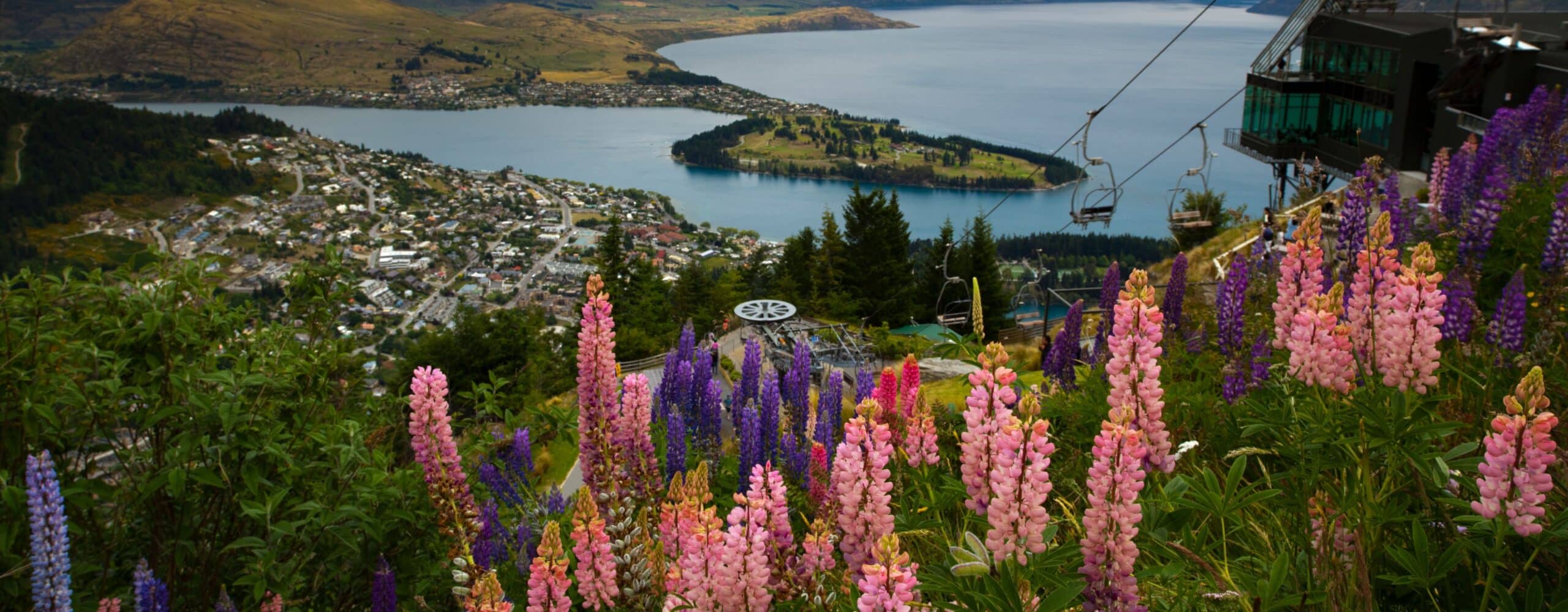 How Queenstown Became an Adventure Capital
