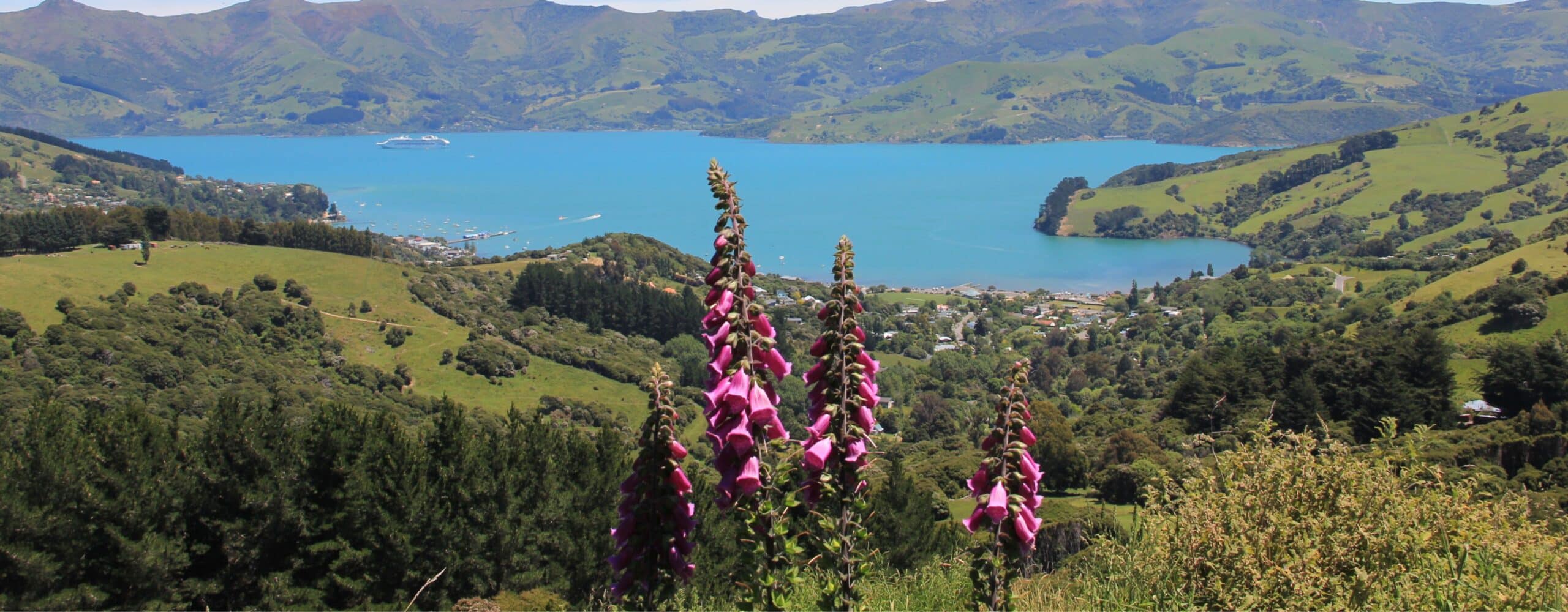 Why Private Experiences Matter in Queenstown