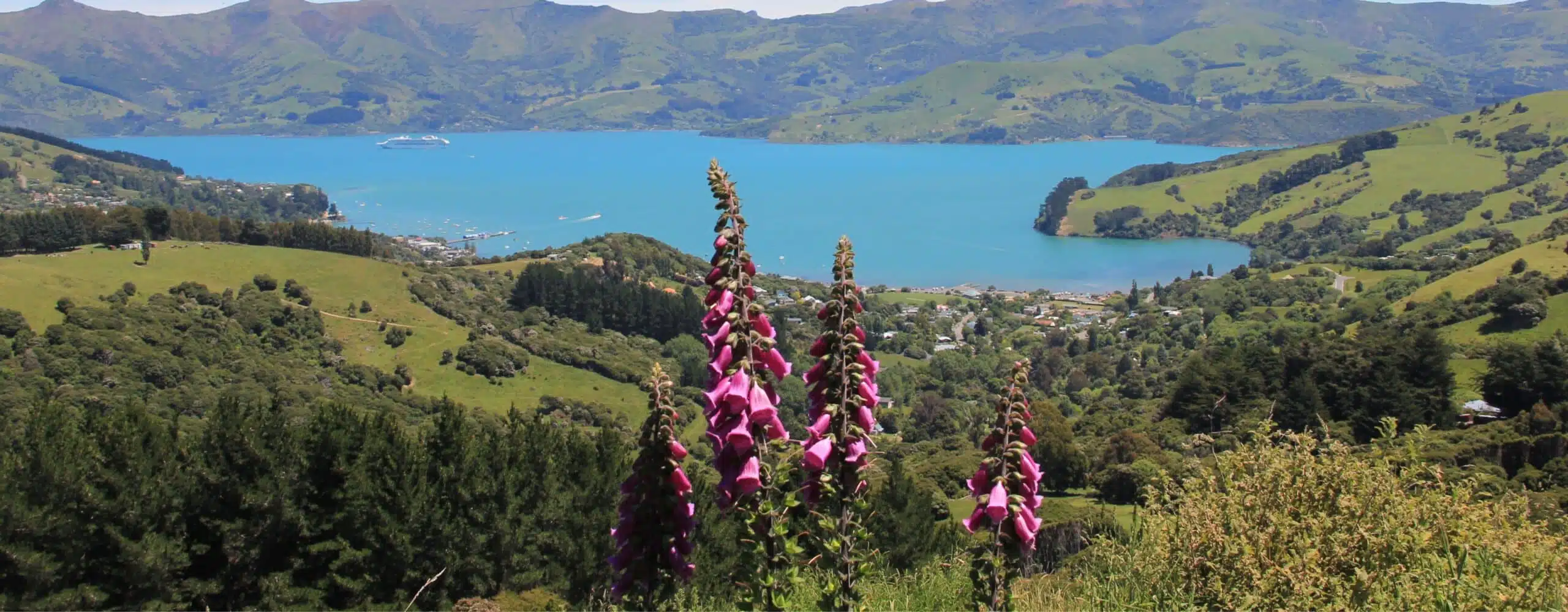 Why Private Experiences Matter in Queenstown