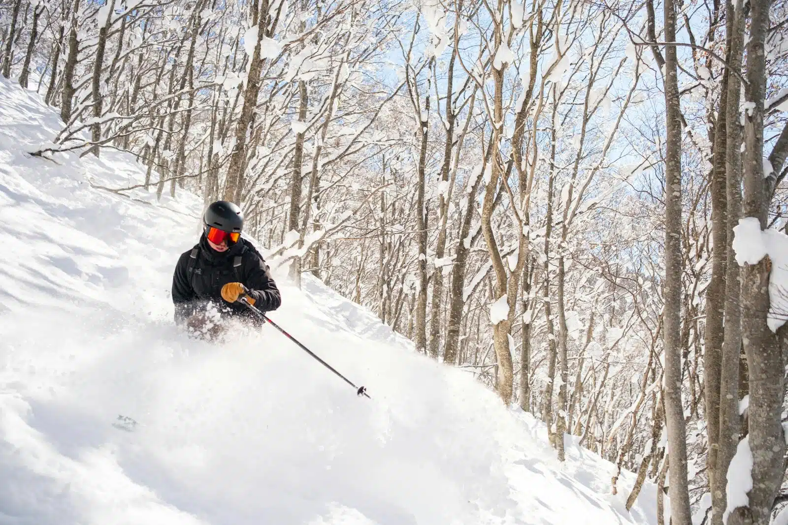 A skier navigates through fresh powder in Japan, surrounded by snow-laden trees.
