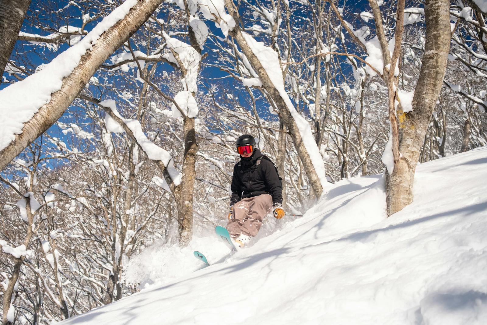 Reading the Snow