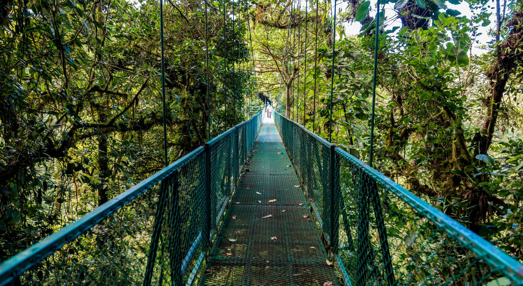 Ecological and Geographic Context