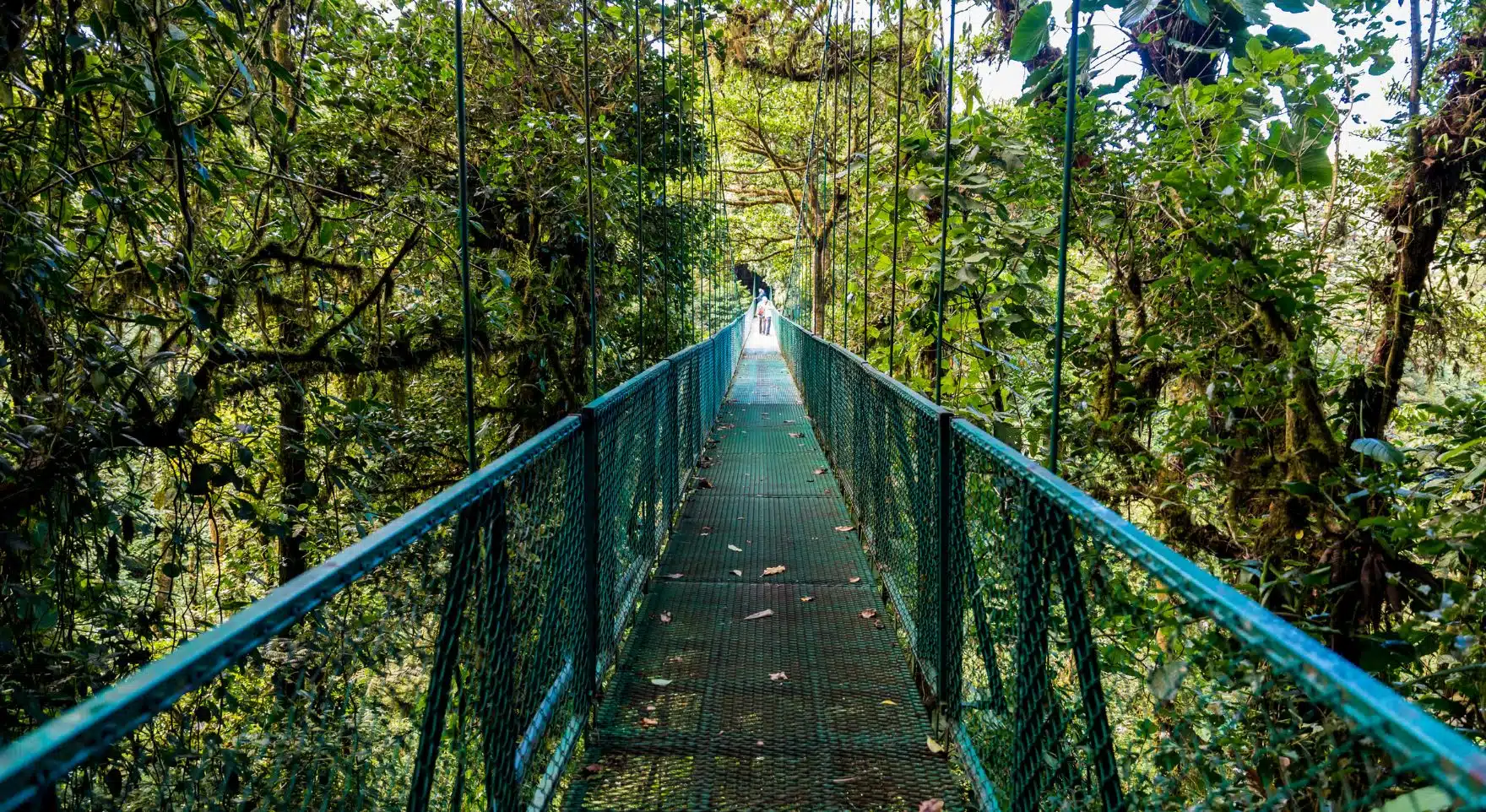 Ecological and Geographic Context