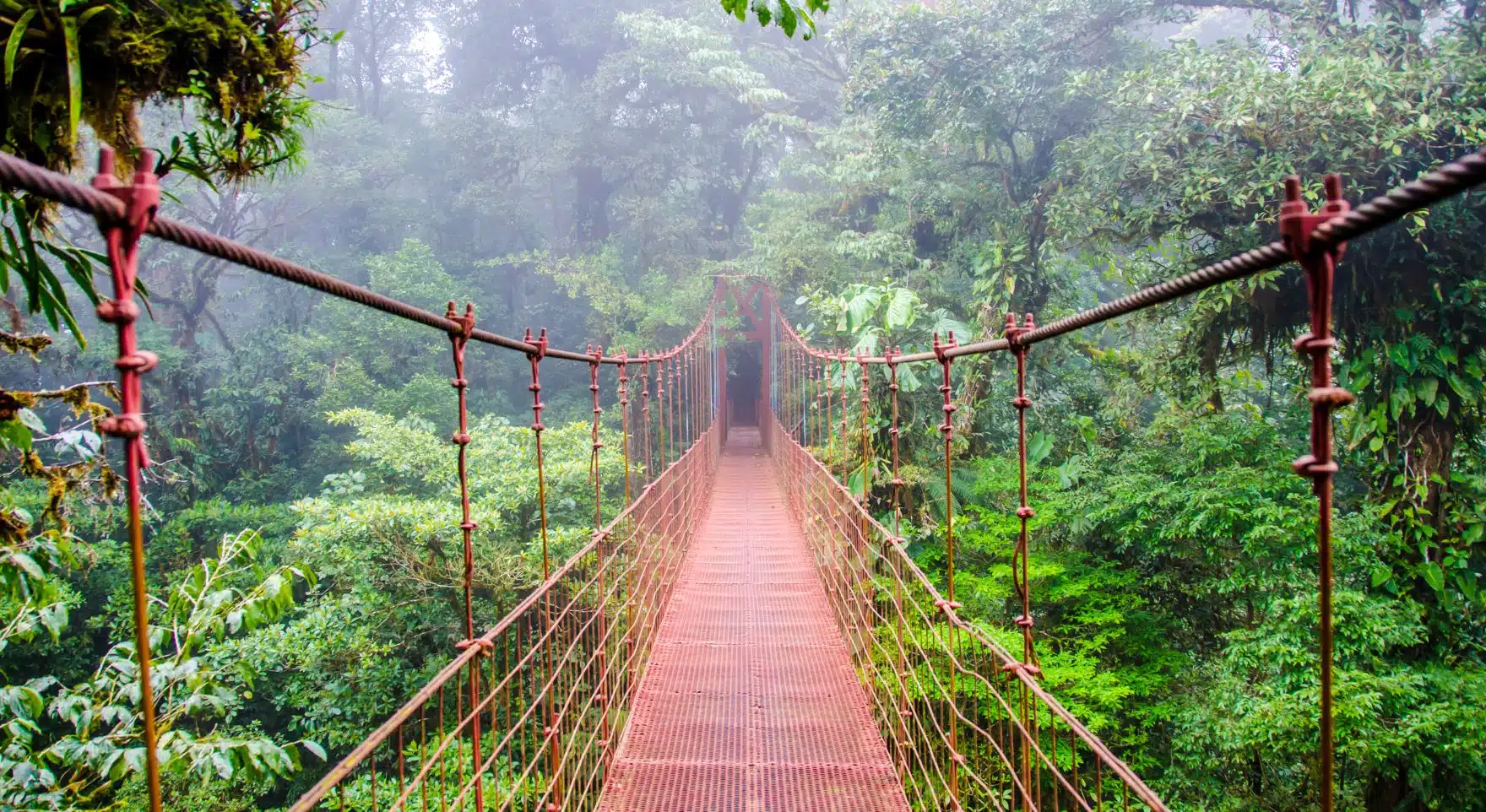 Private Tour Of Monteverde Cloud Forest