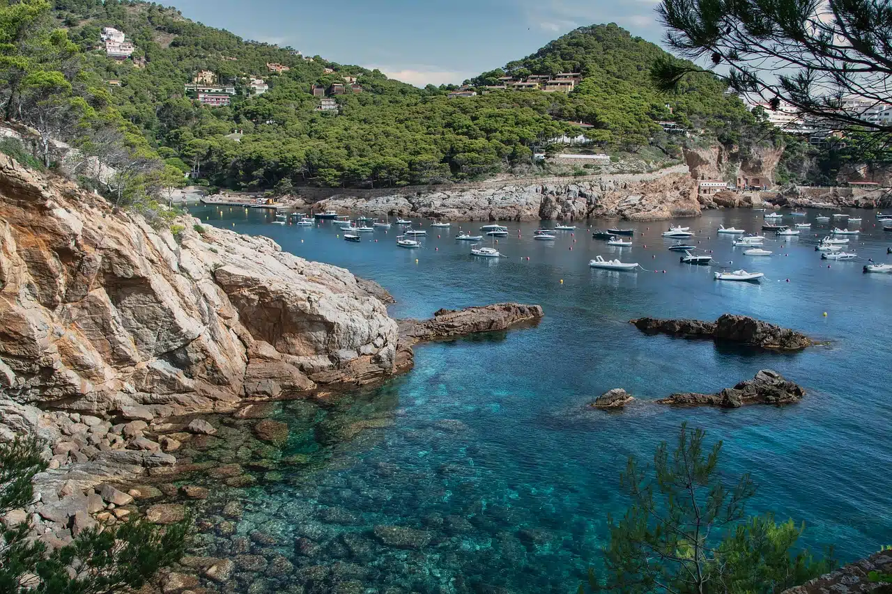 sea, beach, mountain, nature, costa brava, rocks, darling, cala, vegetation, landscape