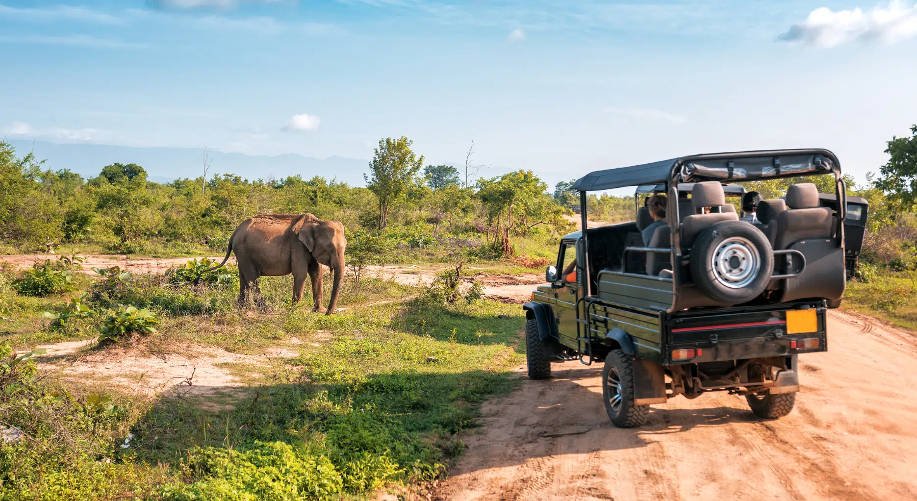 Malaria-Free Safaris in South Africa, Namibia & Botswana
