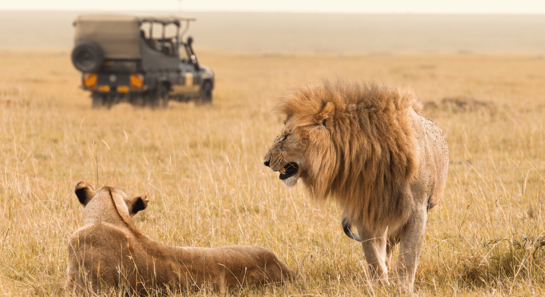 Where to go for your South Africa honeymoon