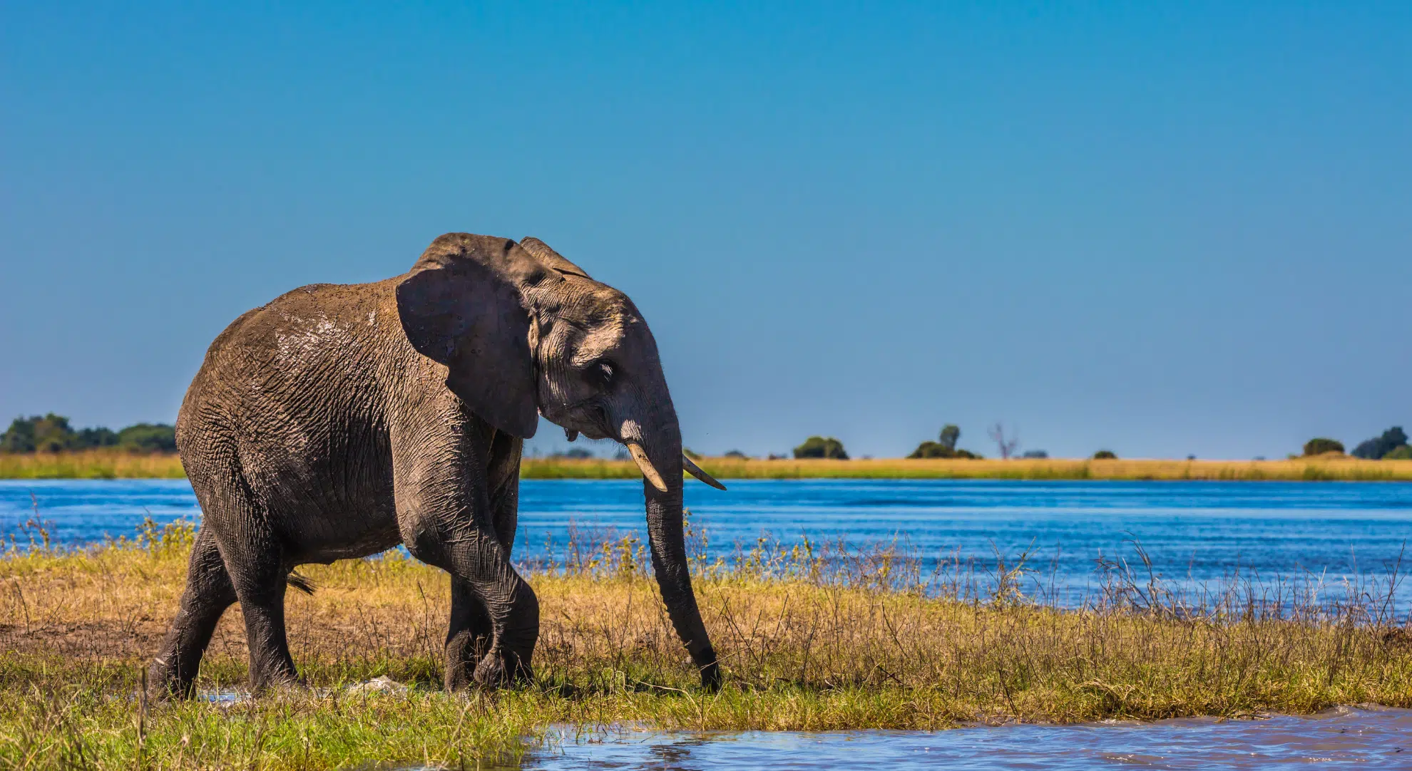 Safari Without the Crowds: How to Choose the Right Reserve