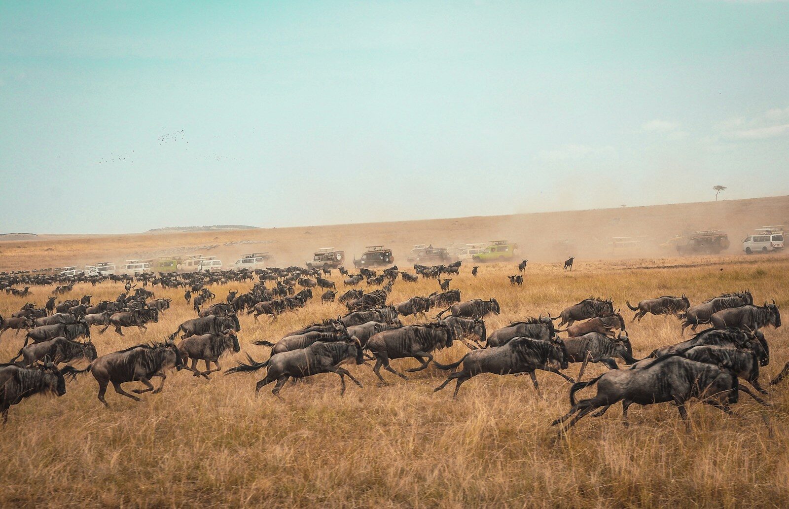 Tanzania