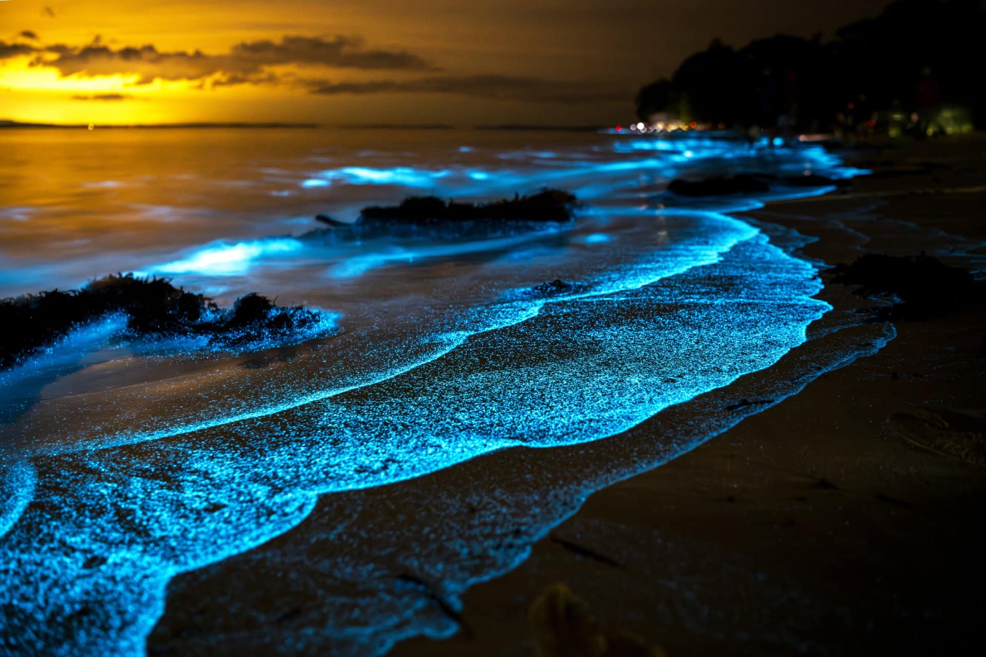 Koh Phi Phi After Dark