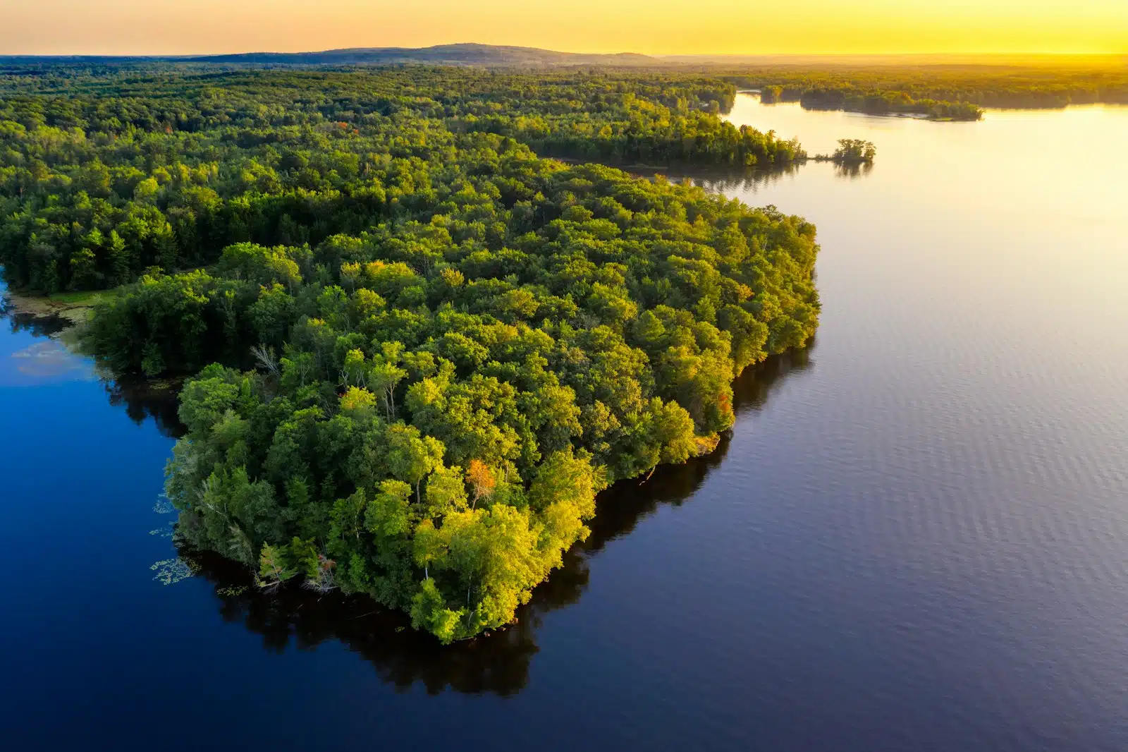 Luxury Amazon & Pantanal: Brazil’s Wild Landscapes