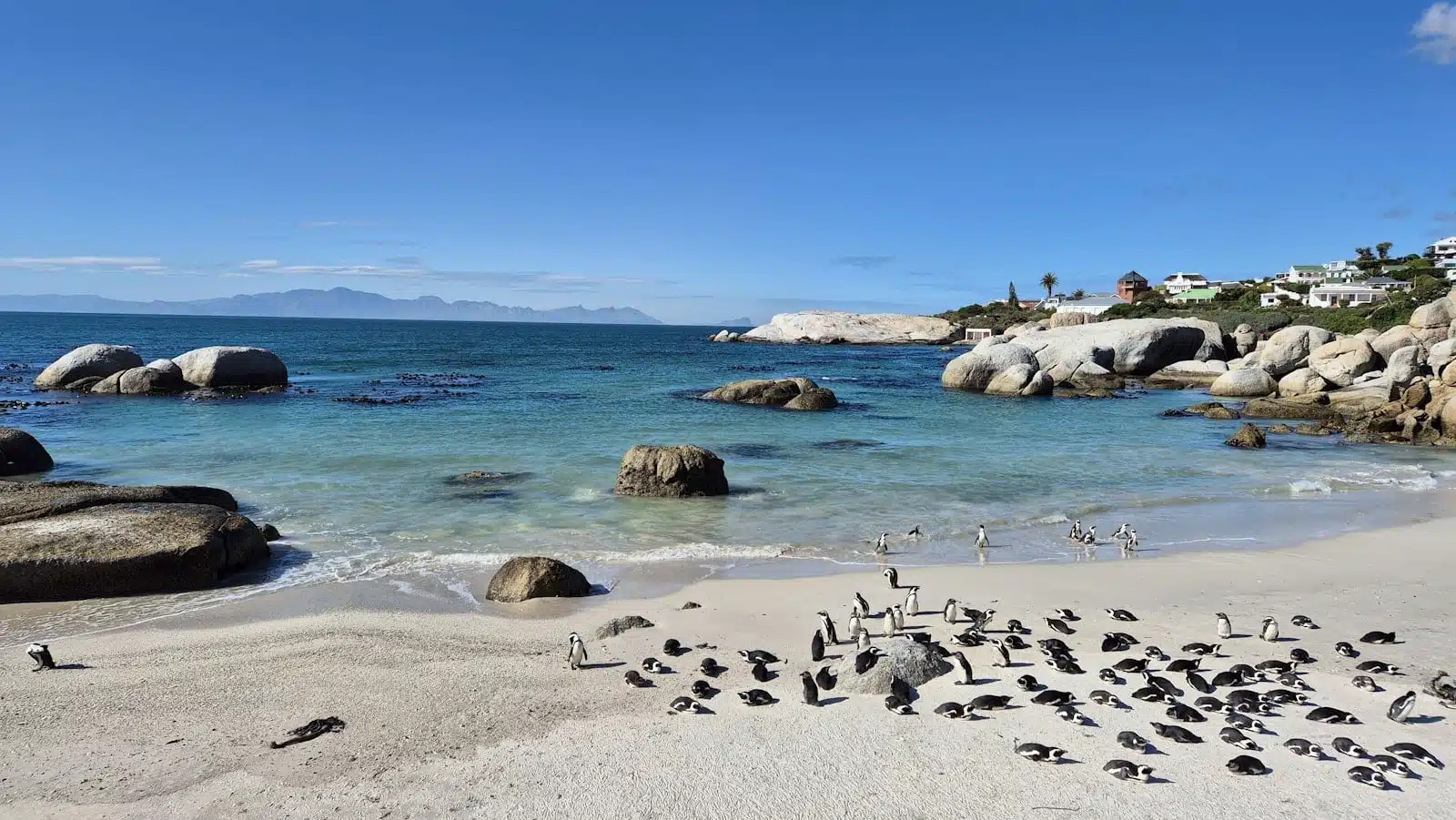 A Cape Peninsula Tradition