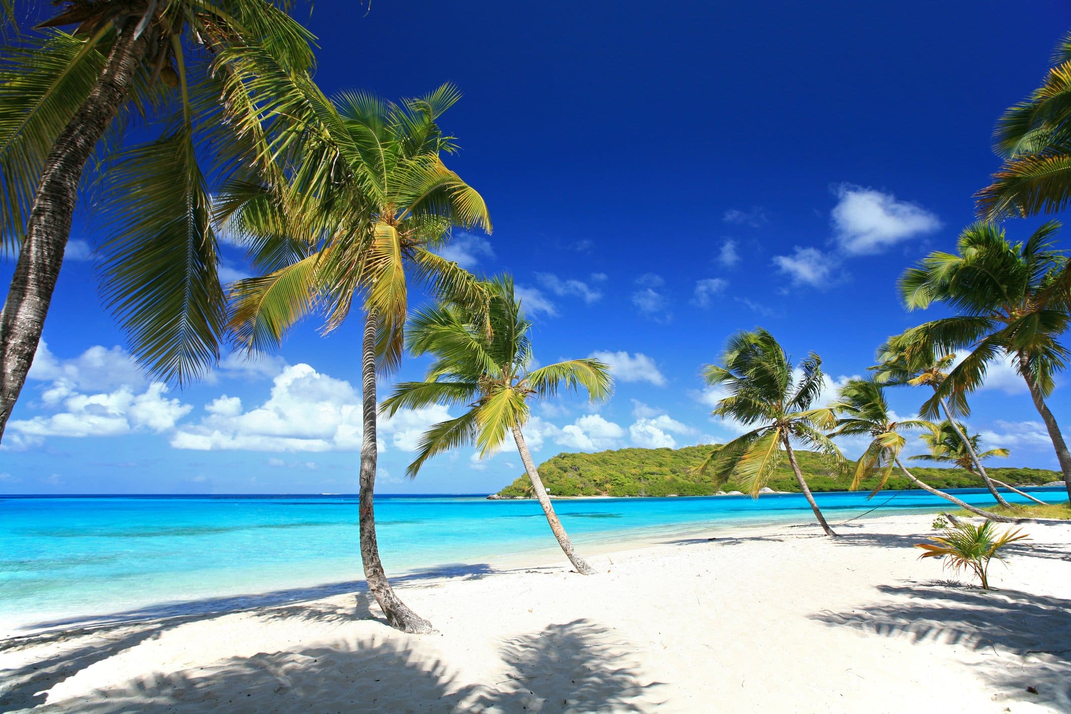 The Tobago Cays