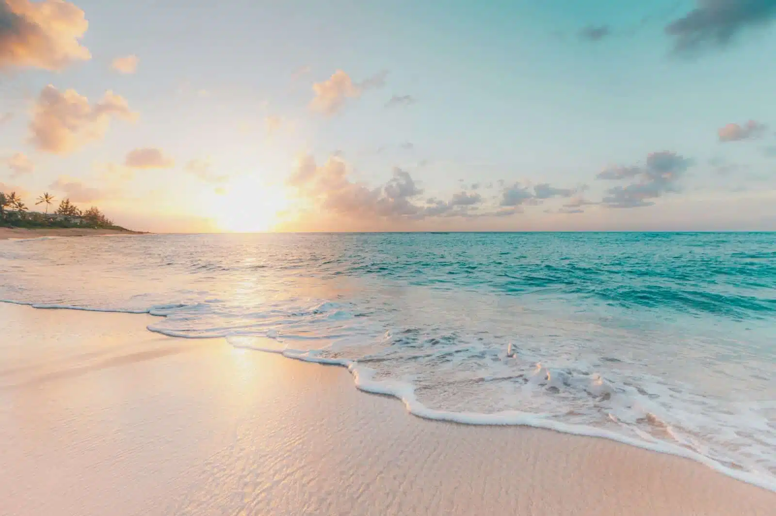 A Private Sandbank Picnic
