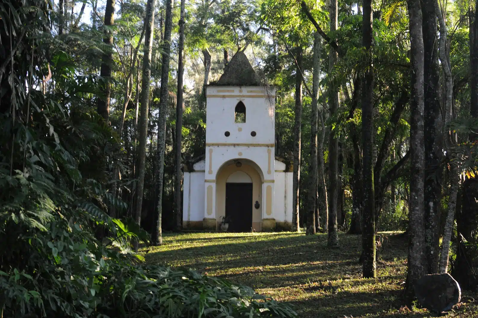 Sintra: The Mountain and Forest Expedition