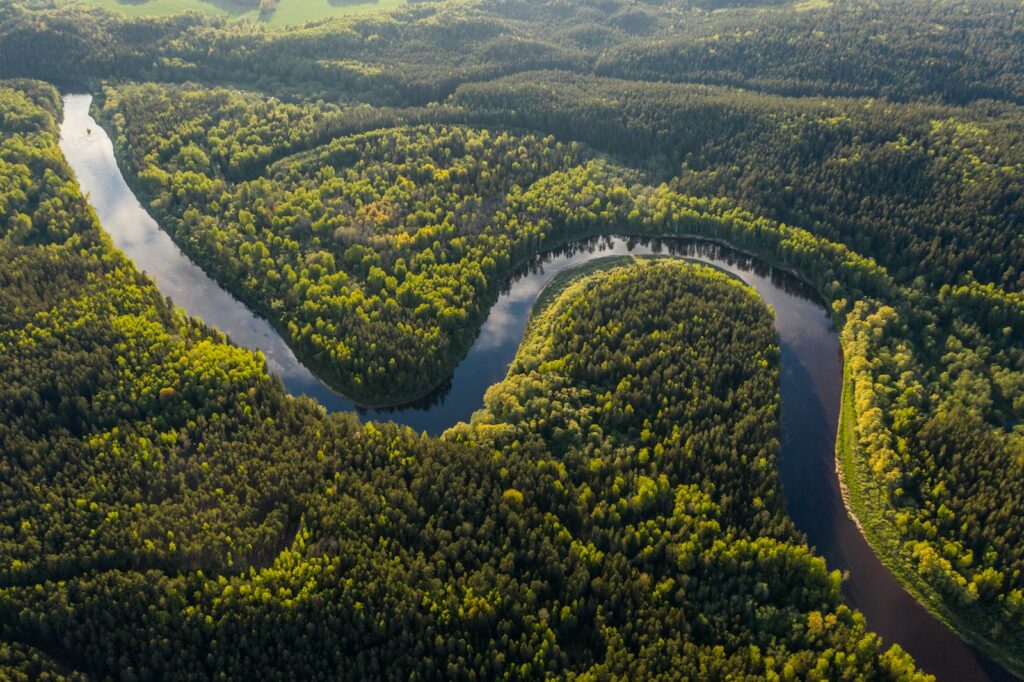 Luxury Amazon & Pantanal: Brazil’s Wild Landscapes