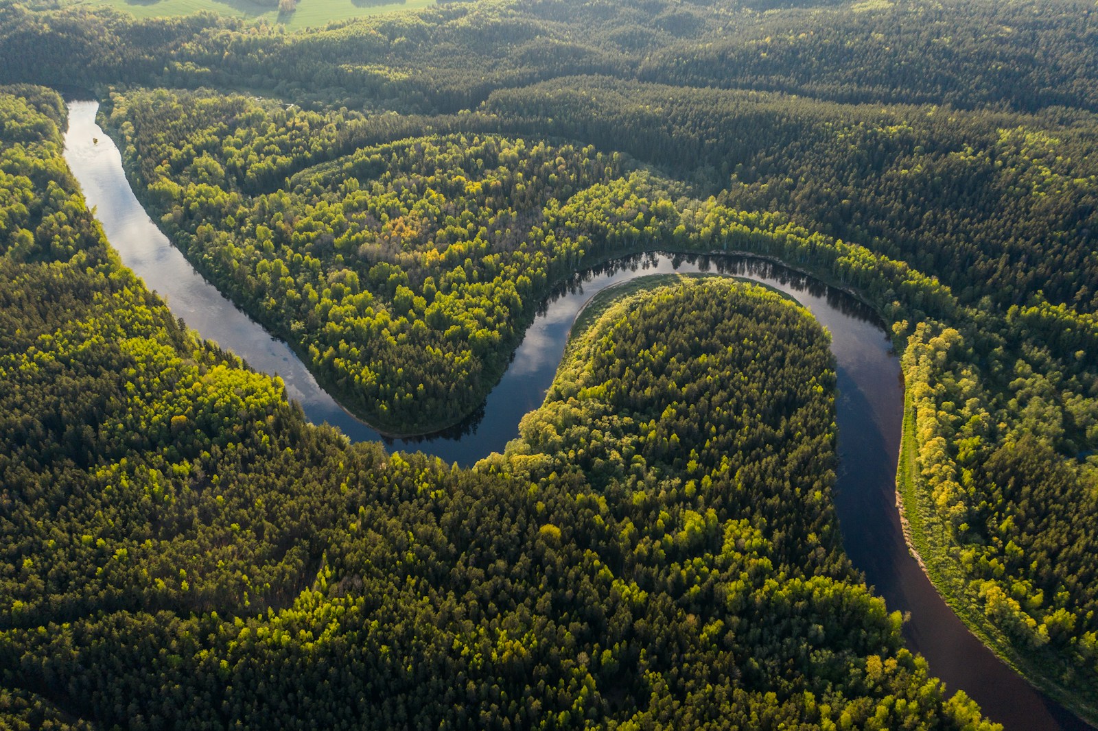 Luxury Amazon & Pantanal: Brazil’s Wild Landscapes