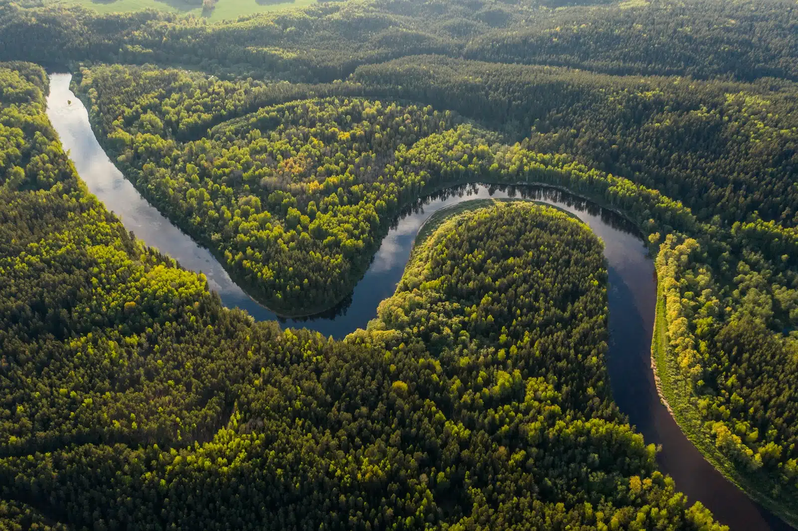 Why Luxury Amazon & Pantanal: Brazil’s Wild Landscapes