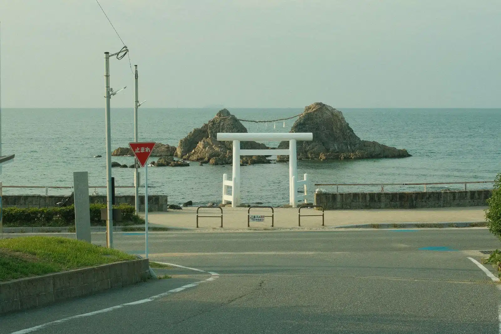 Naoshima Art Island with a Curator