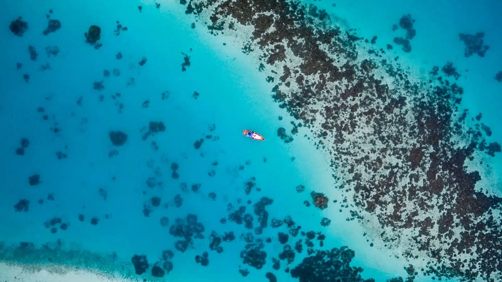 Night snorkeling in the Maldives