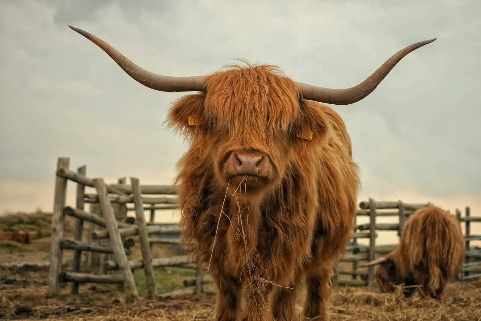 Why Discover Scotland: Edinburgh, The Highlands & Loch Lomond