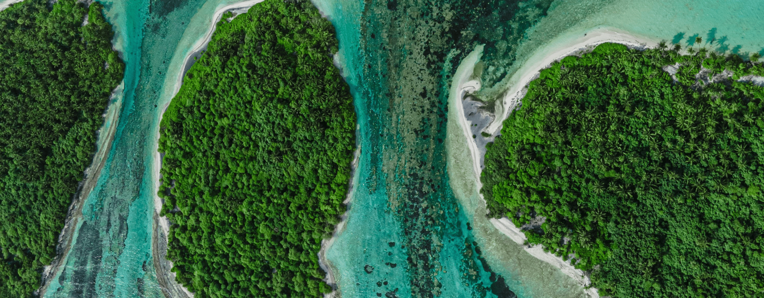 The Maldives Beyond the Villa: Best Activities