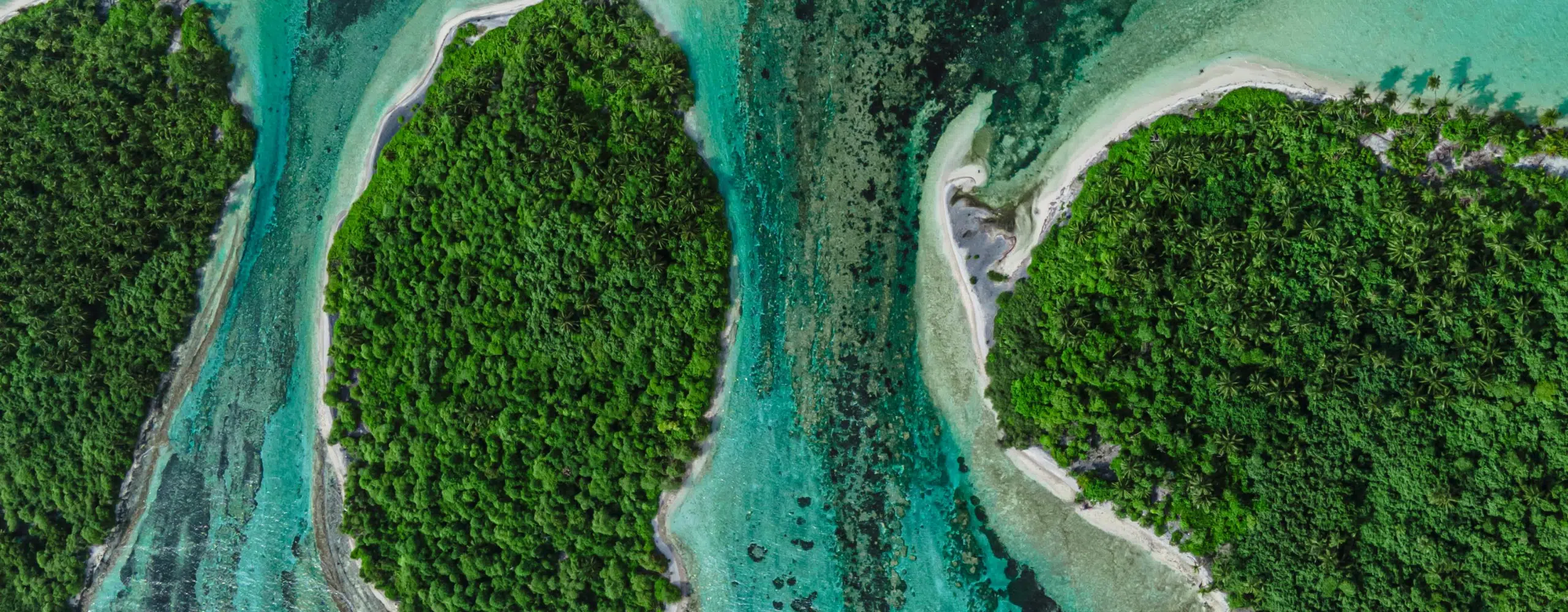 The Maldives Beyond the Villa: Best Activities