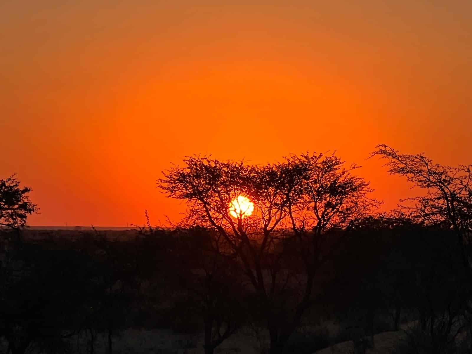 Private Dune Dinner in the Kalahari