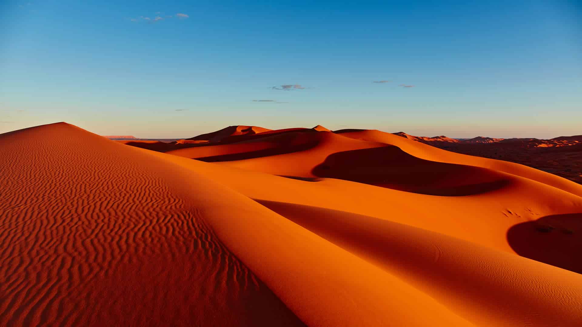 Private Dune Dinner in the Kalahari