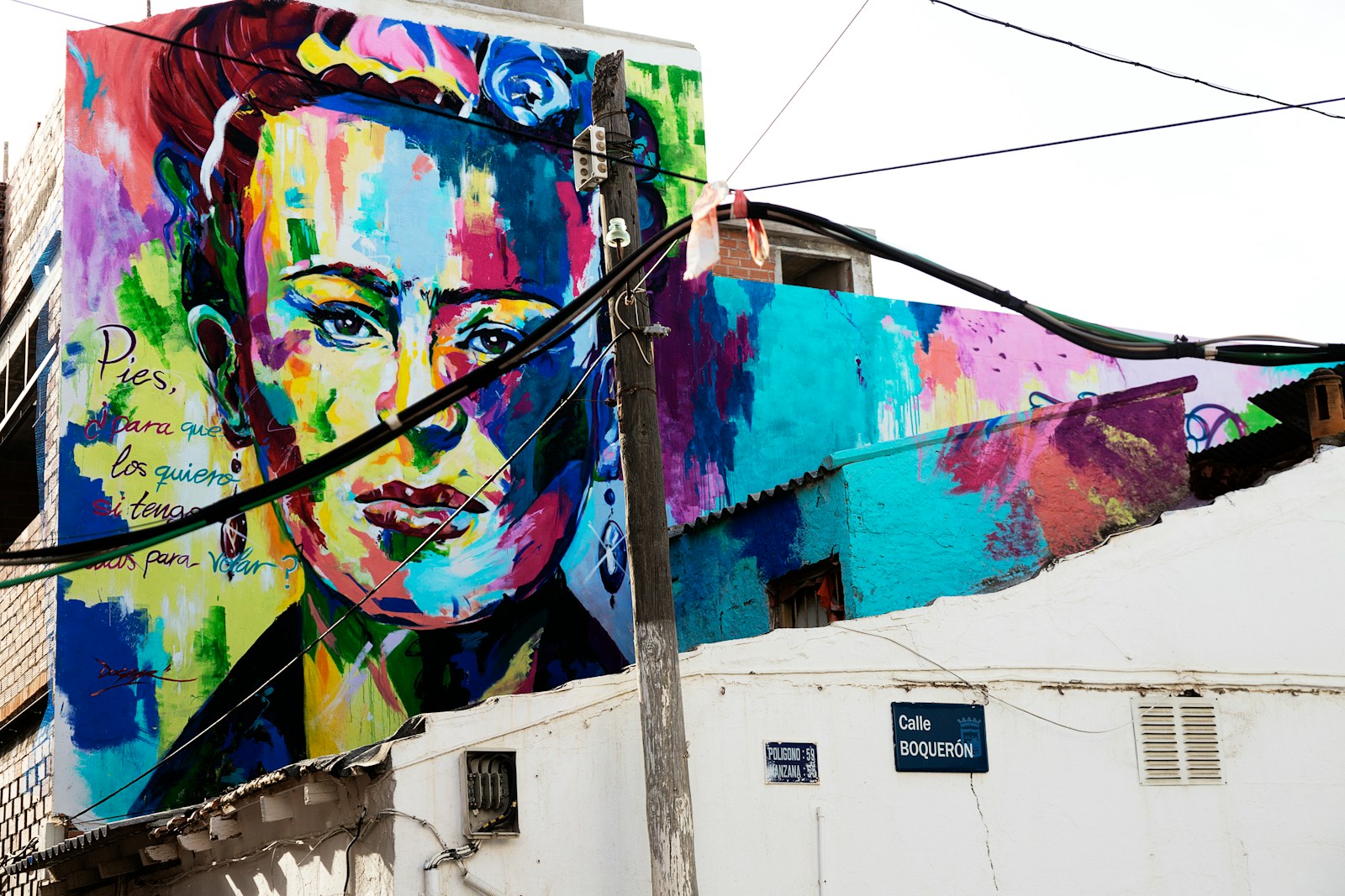 Private tour of the Frida Kahlo Museum