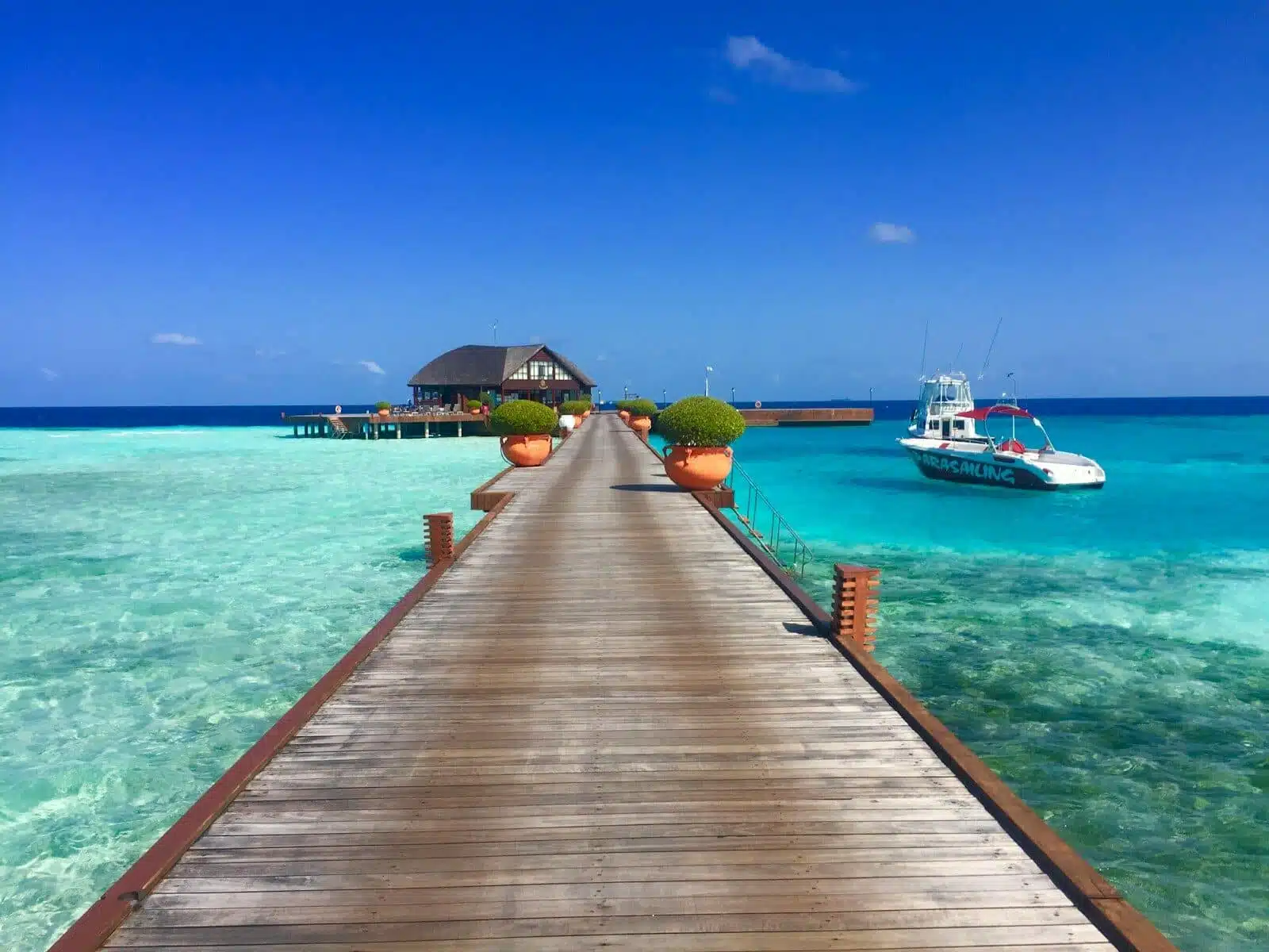 Wellness Over Water