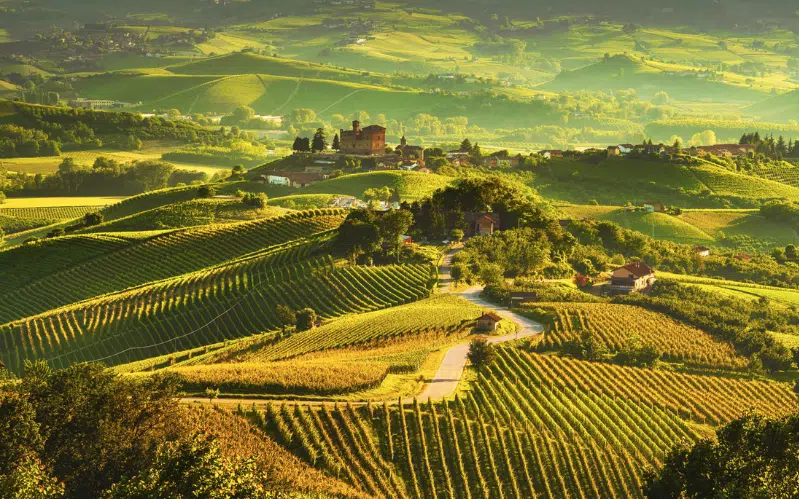 Into the Langhe