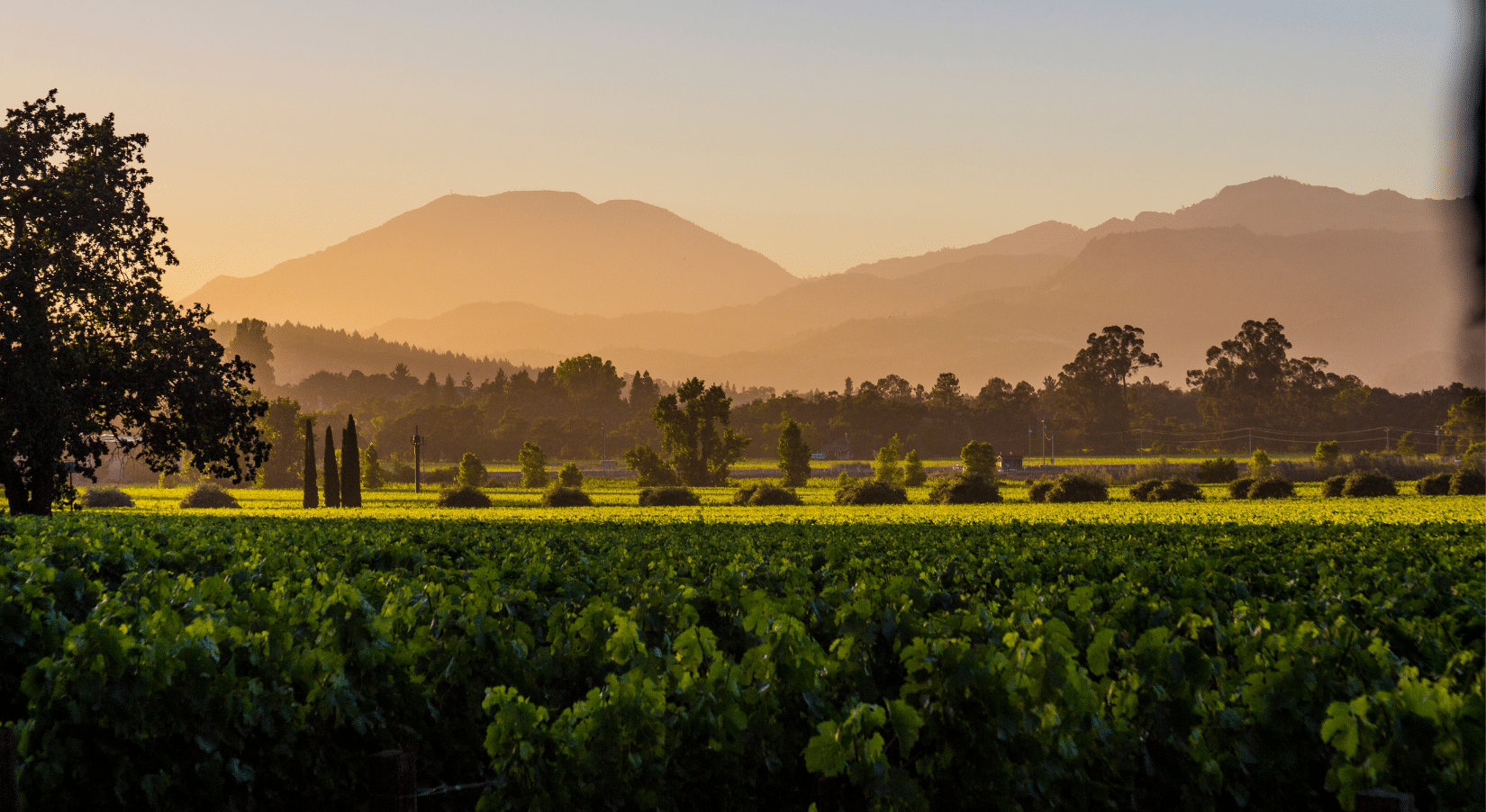 Day 1: Arrival in Napa