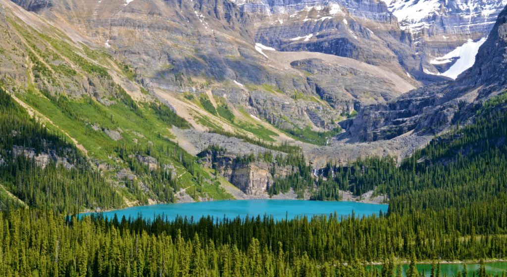 Luxury Canadian Rockies Tour