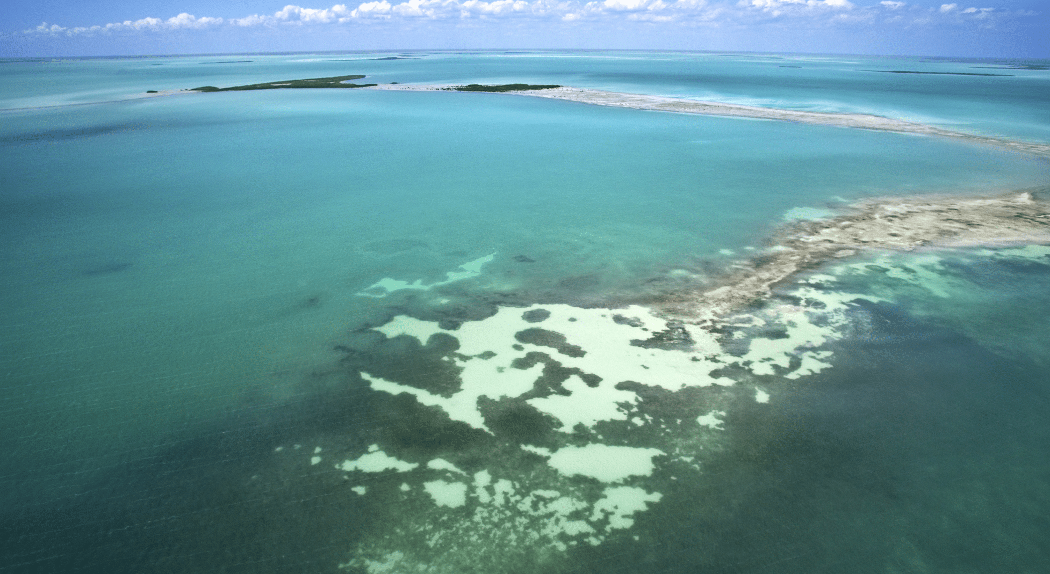 Everglades