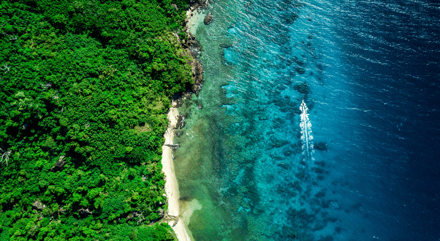Day 3: Coastline and Local Encounters