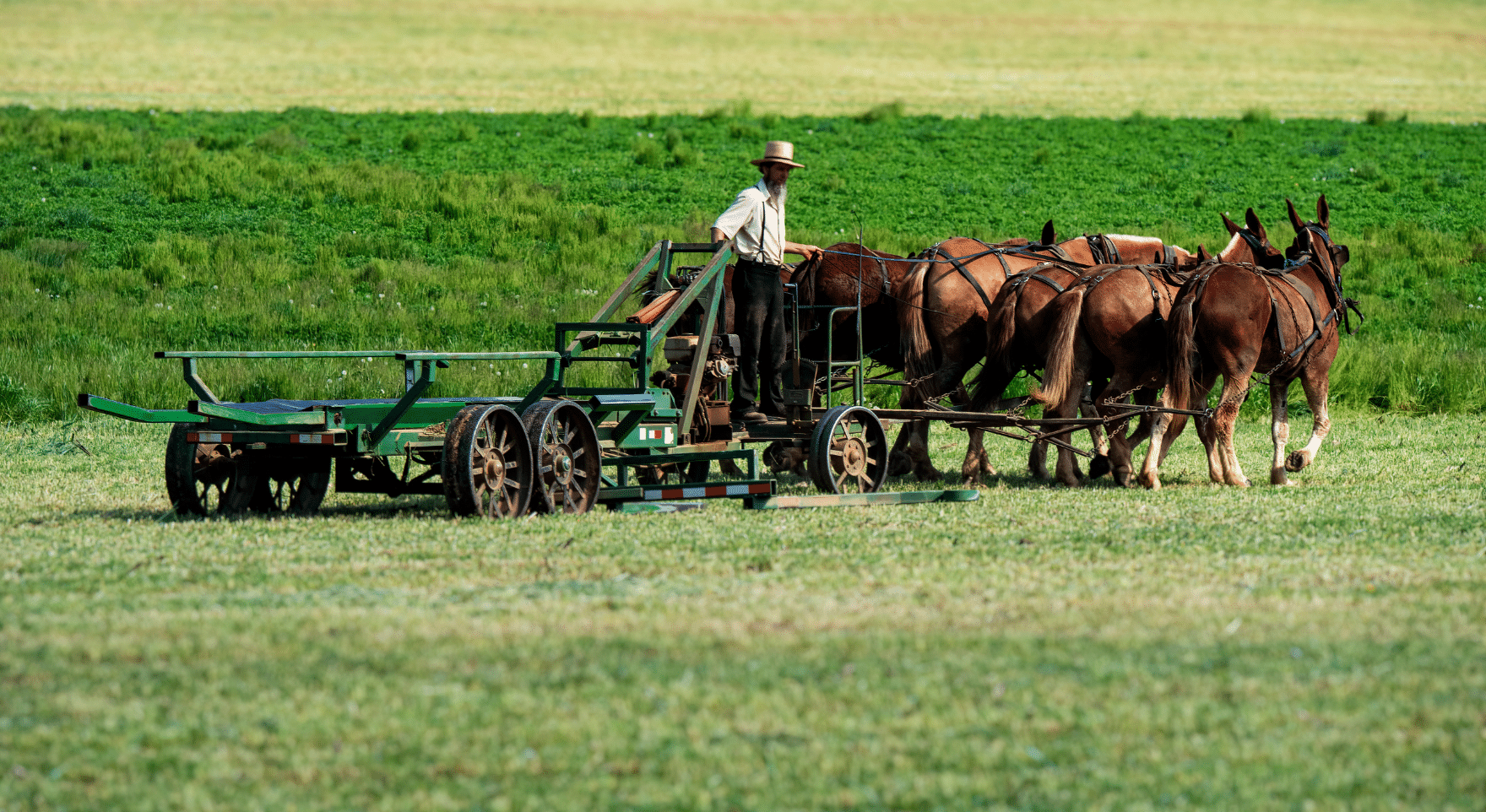 Day 5: Lancaster County: Farmhouse & Countryside