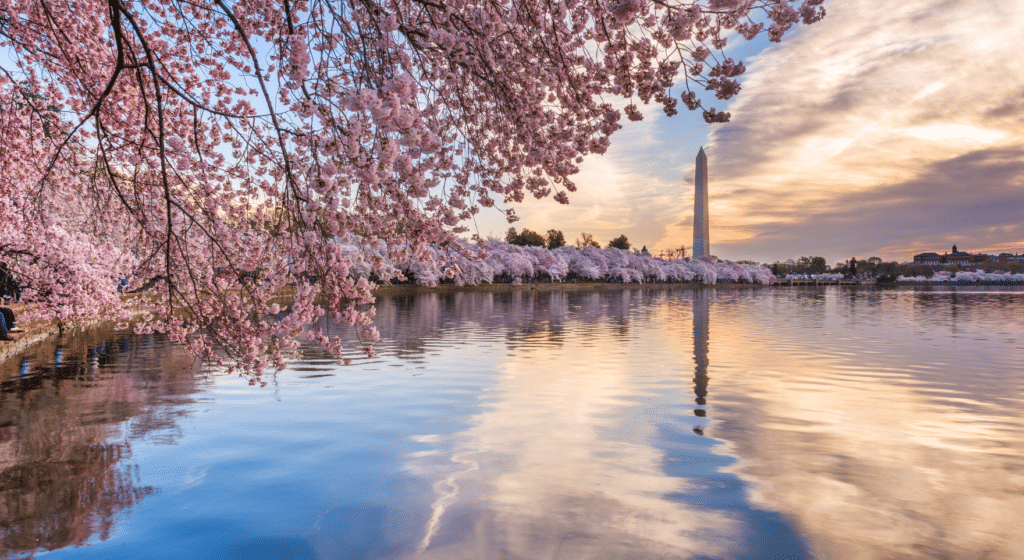 Washington