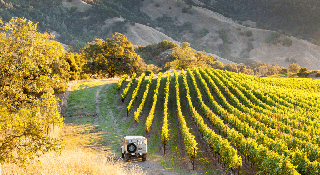 Napa Valley and Sonoma Wine Tour