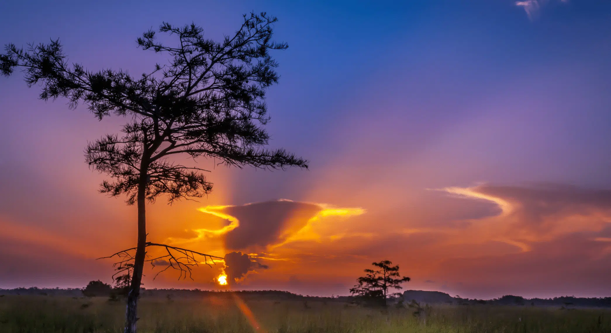 Everglades at First Light